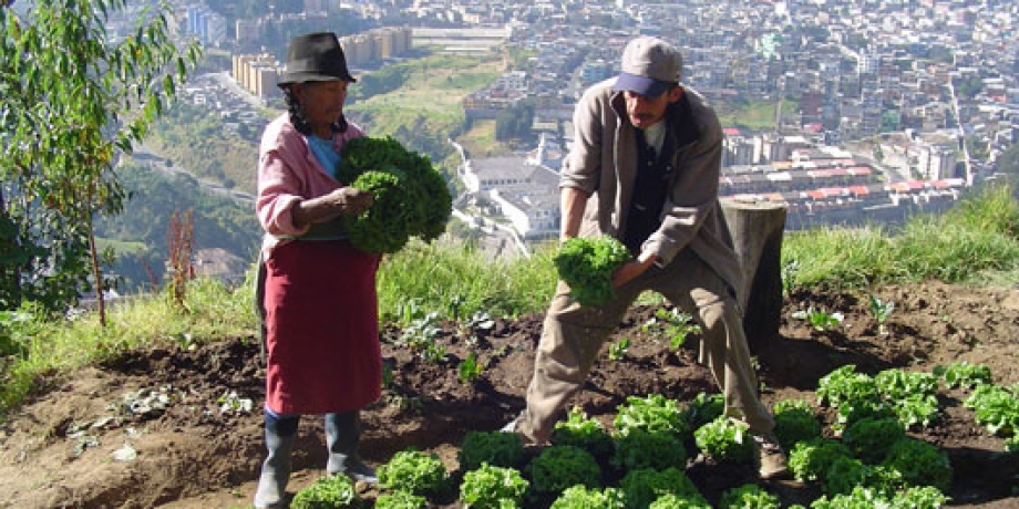 Hambre y crisis ambiental, los rostros del naufragio humano anunciado